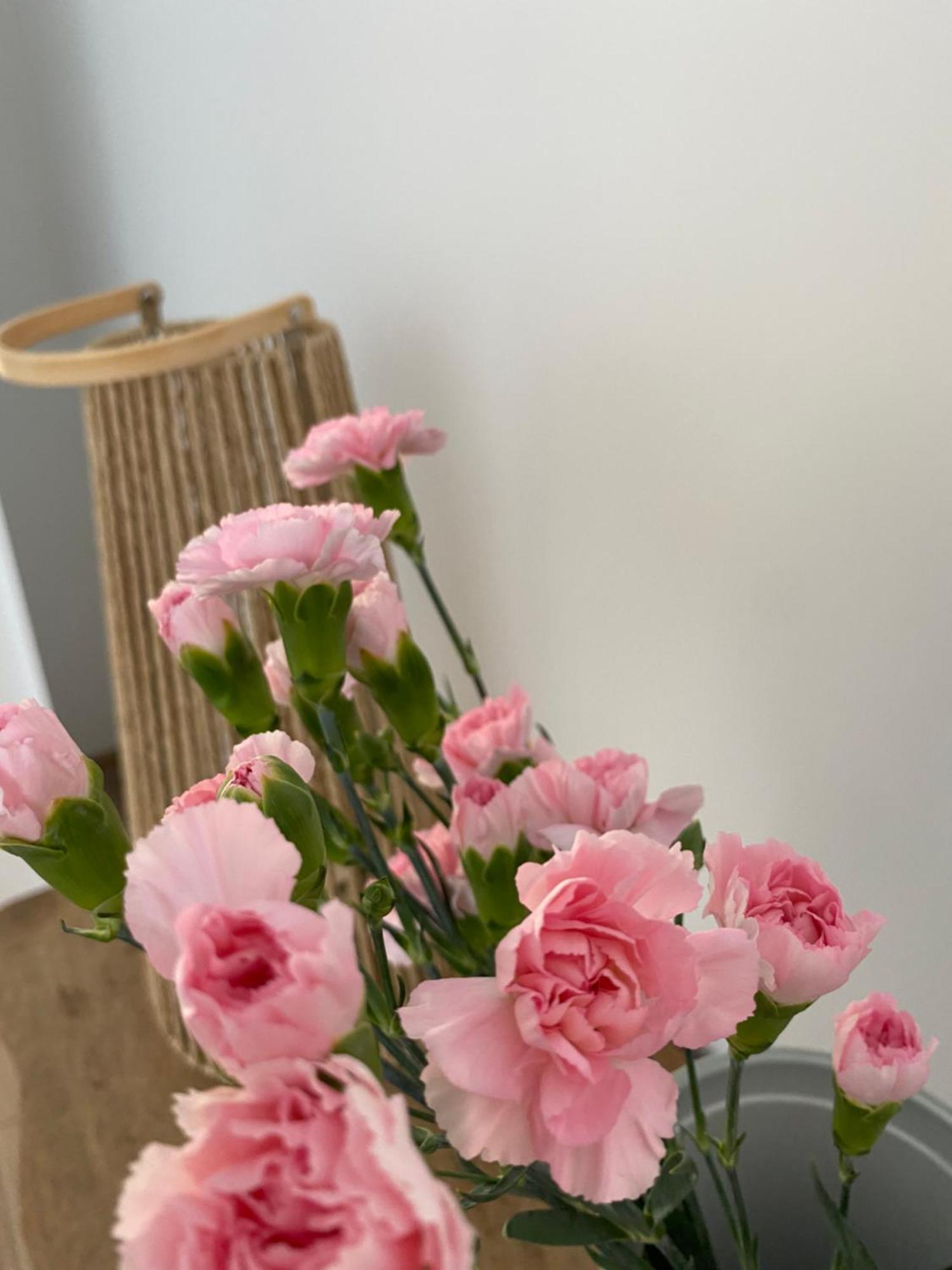 Apartament Przy Ogrodzie Botanicznym - Niemcewicza 比得哥什 外观 照片